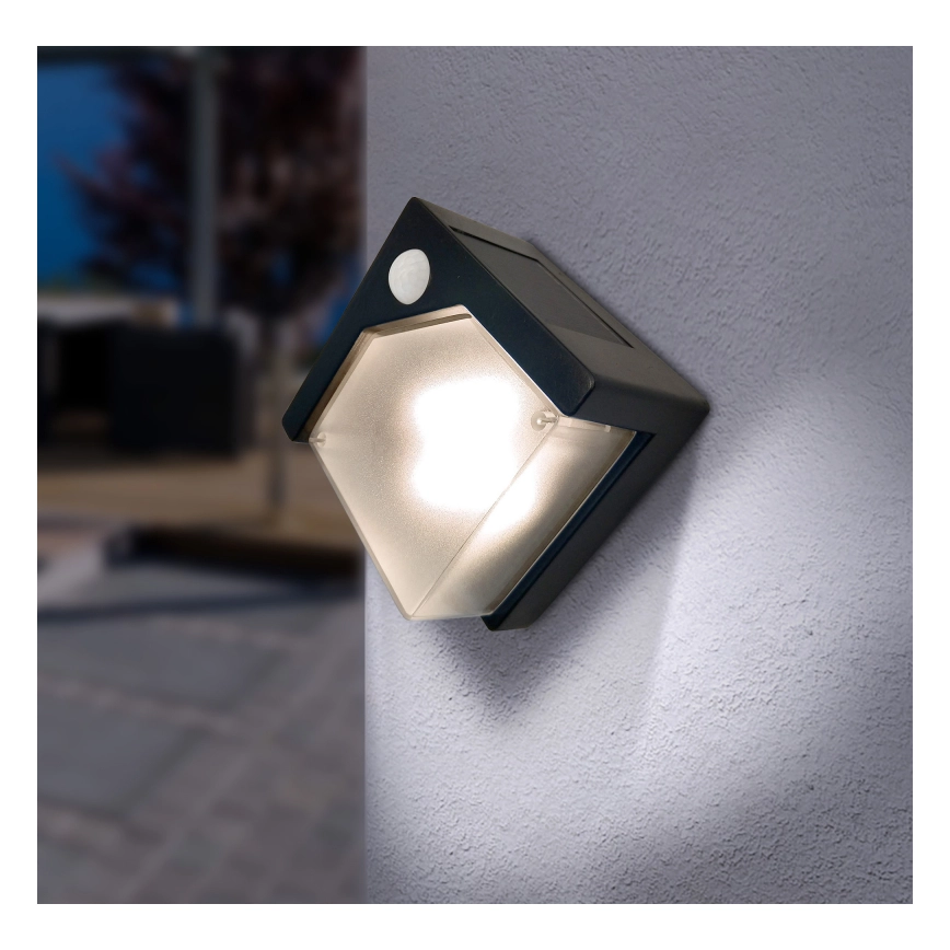 LED Solárne svietidlo so senzorom nad číslo na dom LED/0,48W/3V IP44