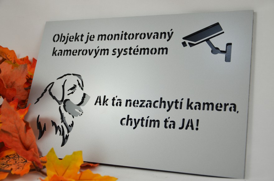 Tabuľka 3D Objekt monitorovaný kamerovým systémom/Pozor pes (30x20cm)